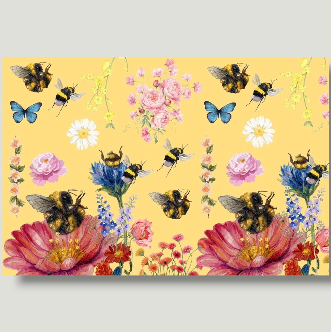 Oh Honey 3-Pack Wrapping Paper
